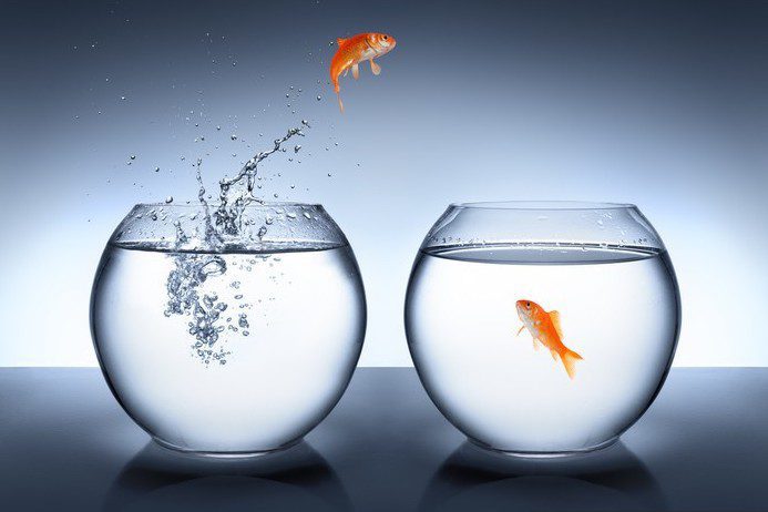 Lavorare in proprio: idee e consigli per aprire la Partita IVA